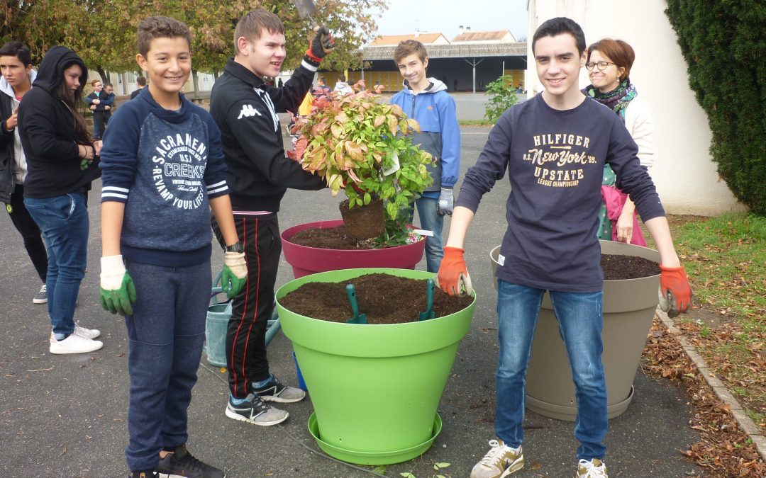 Le collège se fleurit