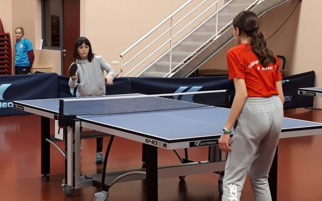 Championnat régionale de tennis de table